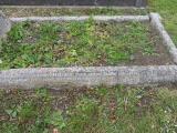 image of grave number 154349